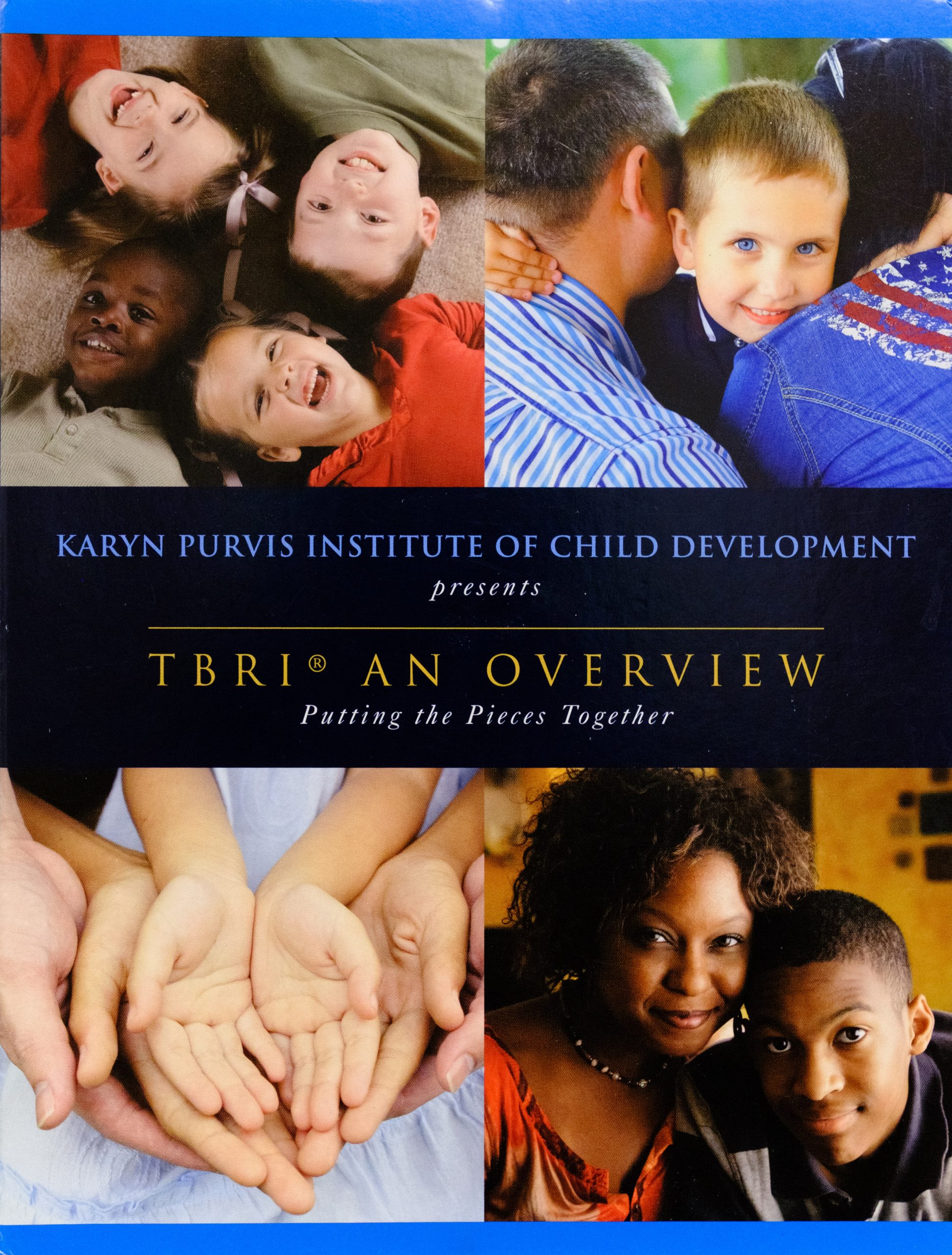 DVD Video: TBRI®: An Overview – Putting the Pieces Together